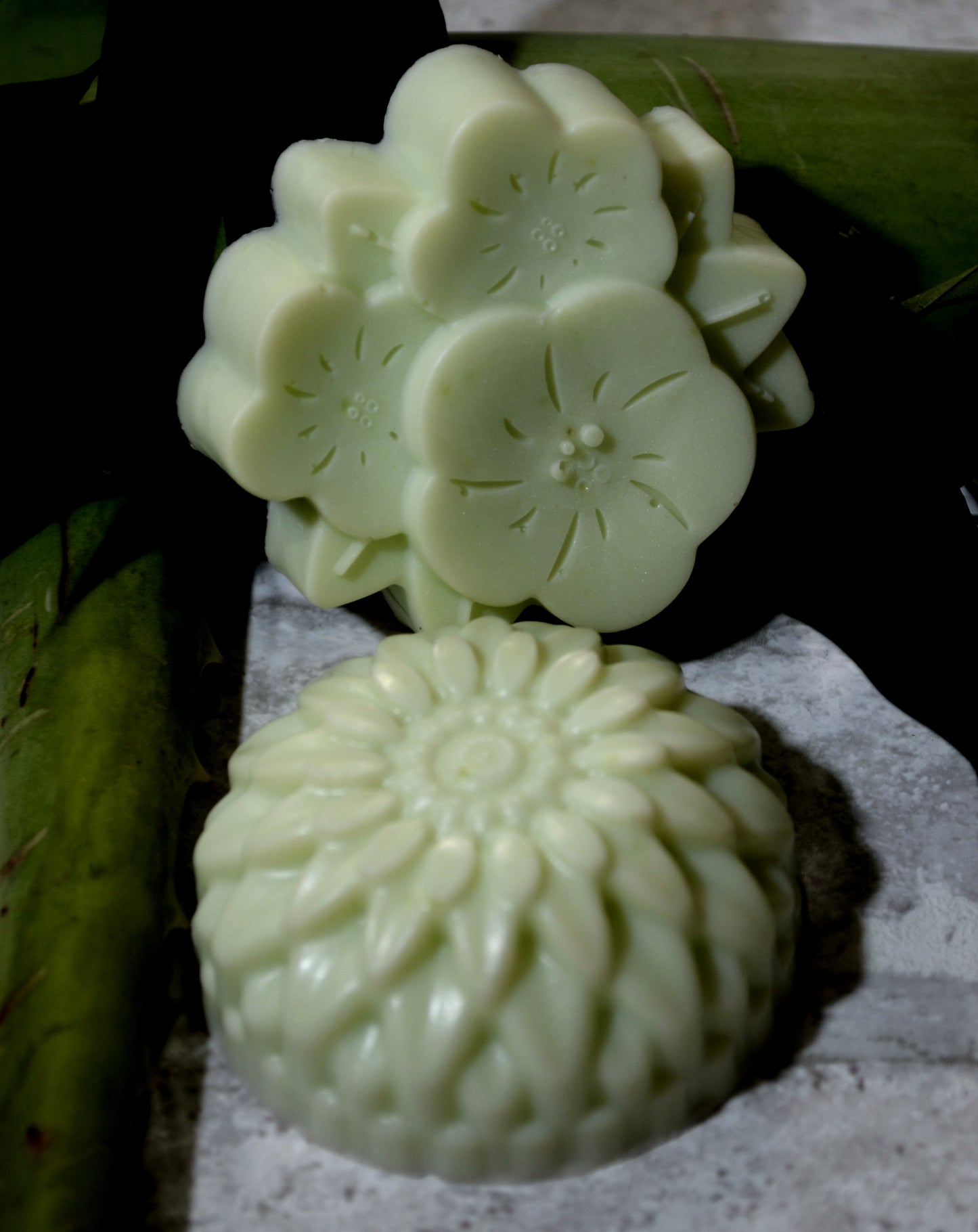 Natural Aloe Vera Soap.