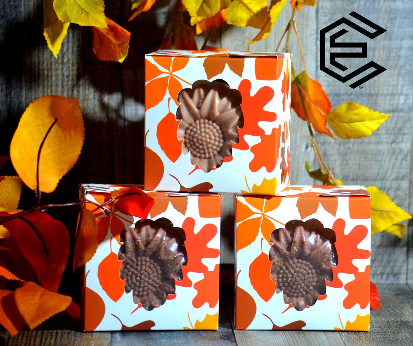 🍁Small Surprise Box Bundle x 2🍂🍁